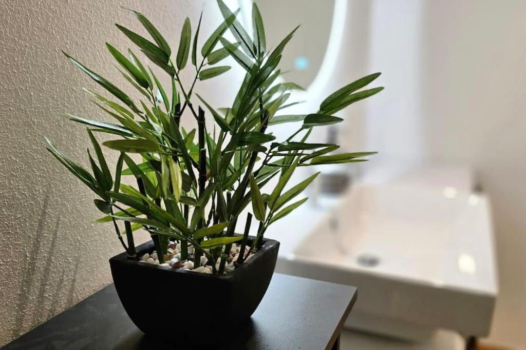 Appartement Poolvision
